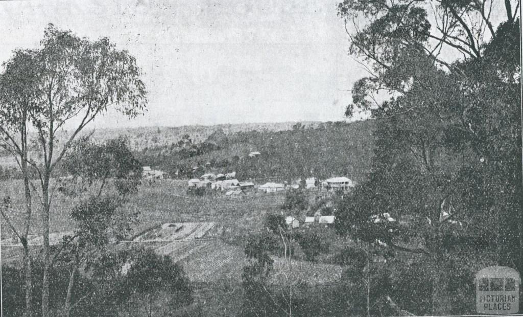 View in the Hurstbridge District, 1931