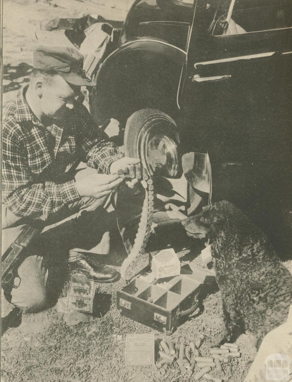 The opening of duck hunting season, Kerang, 1950