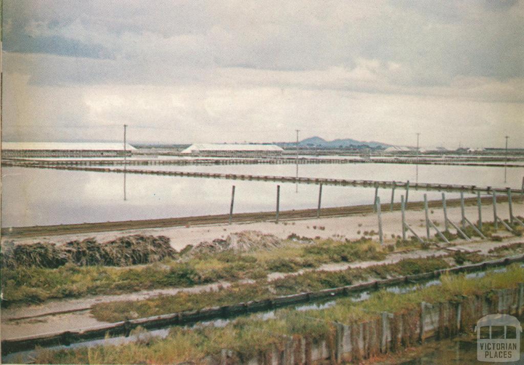 Salt pans near Geelong, 1970