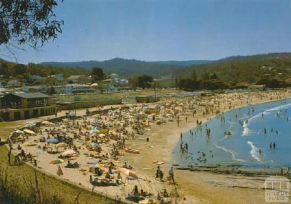 Overlooking Loutitt Bay and surf beach, Lorne