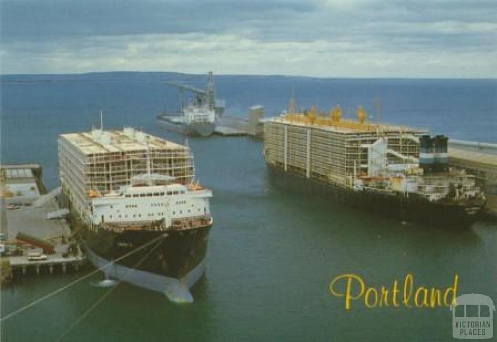 Sheep ships in Portland Harbour