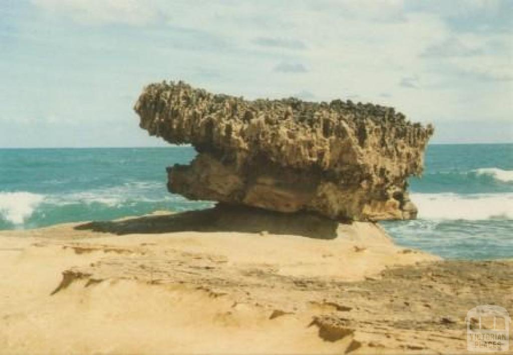 The Majestic Crown of Thorns near Port Campbell