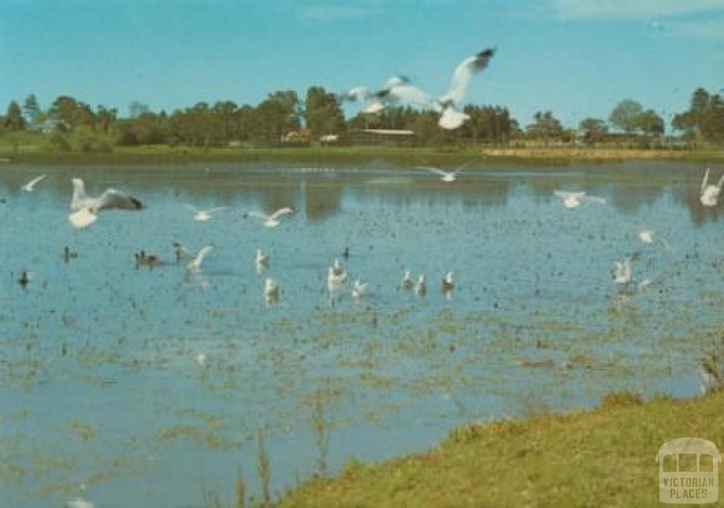 Lake Guthridge, Sale