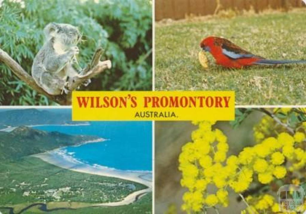 Wilson's Promontory