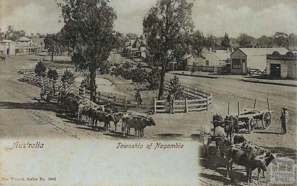 Township of Nagambie, c1909