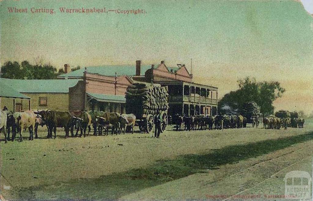 Wheat carting, Warracknabeal, c1906