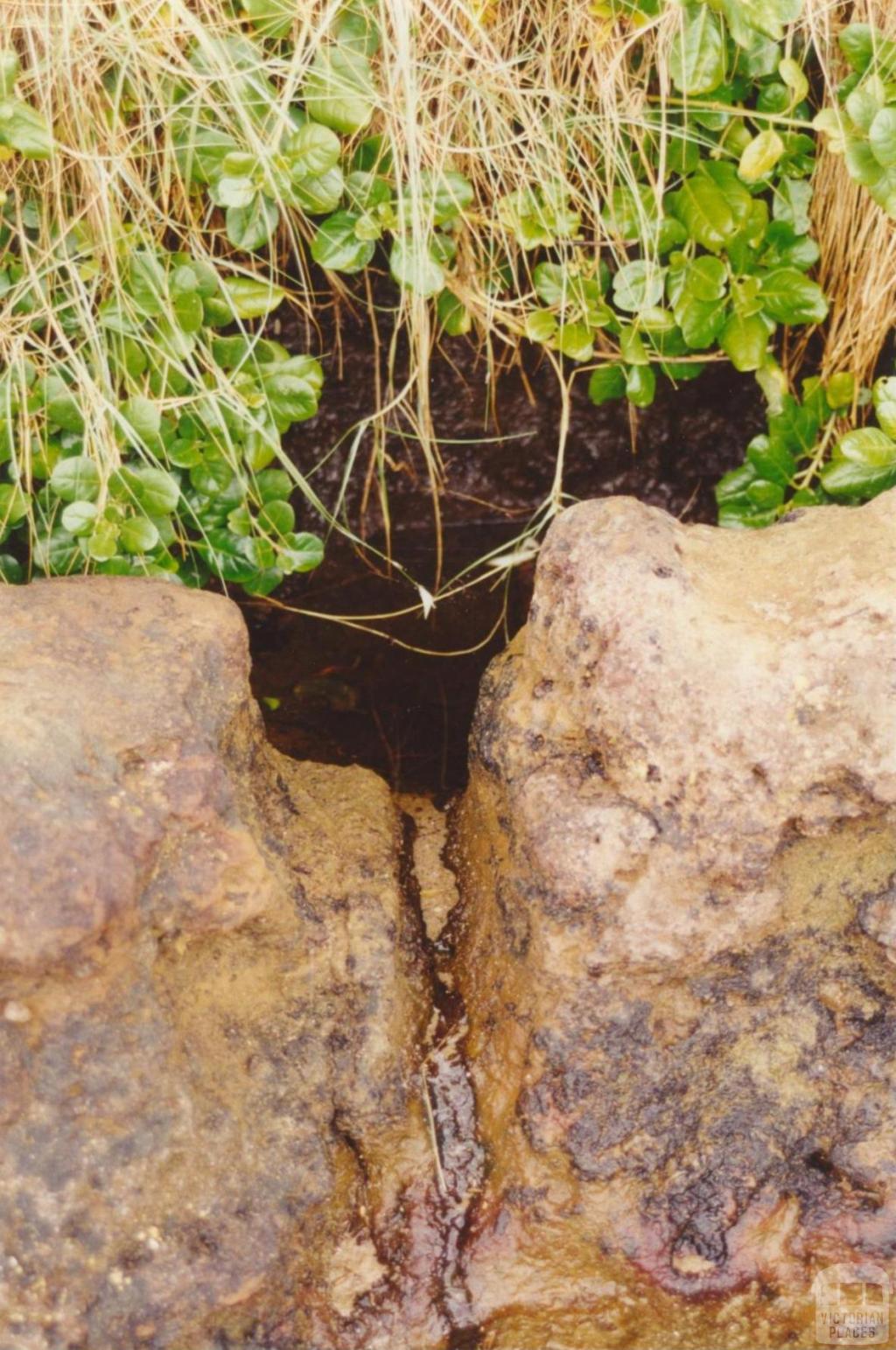 Aboriginal Well, Ricketts Point, Beaumaris, 2001