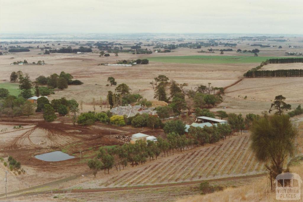 Alvie from Red Rock, 2001