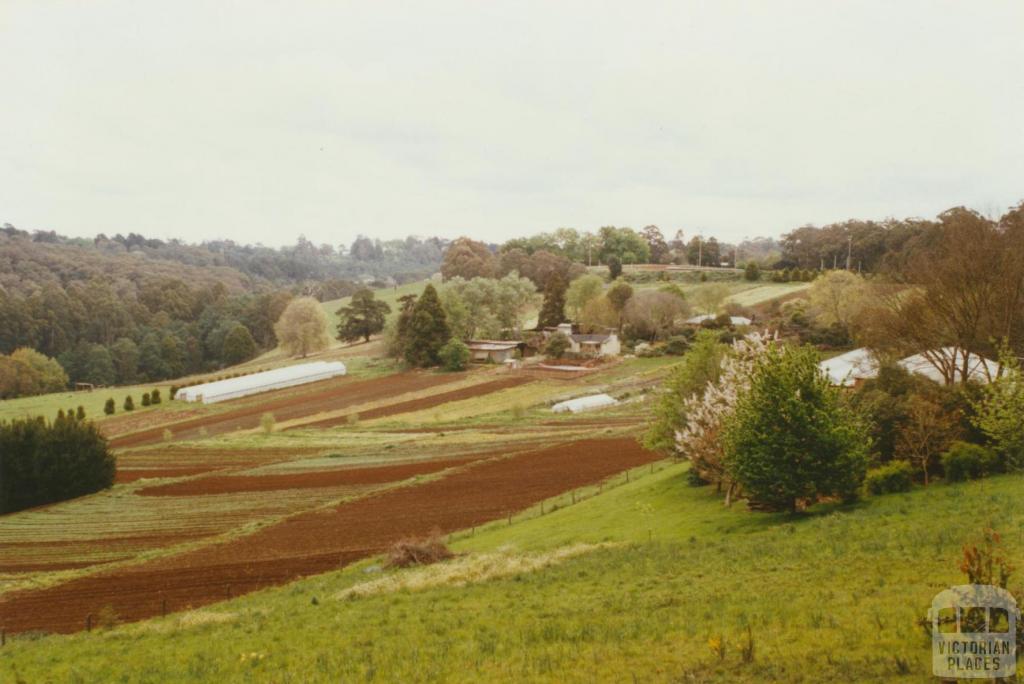 Avonsleigh, 2002