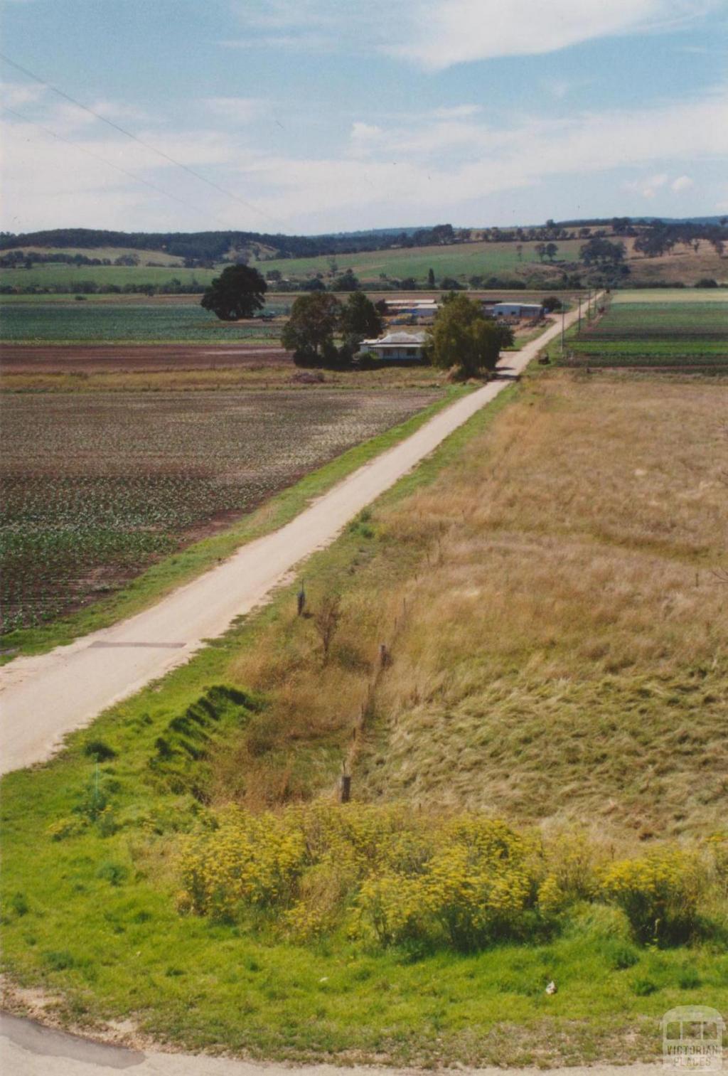 Lindenow market gardens, 2004