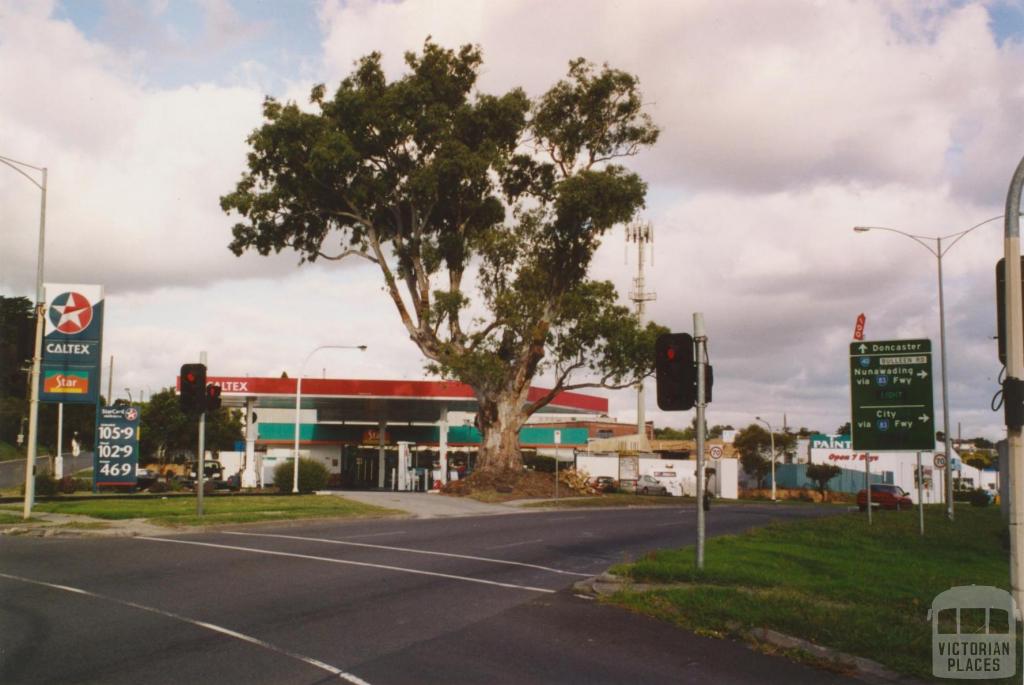 Historic red gum, corner of Manningham Road and Bridge Street, Bulleen, 2005