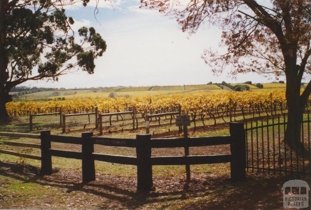 Seppelts vineyards, Drumborg, 2006