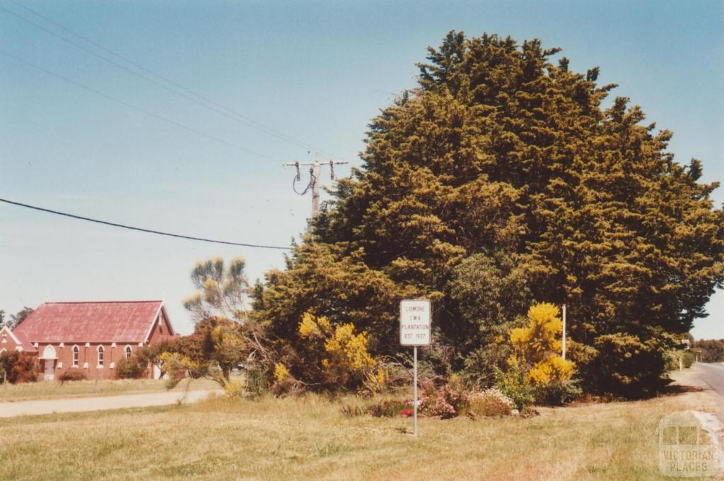 CWA plantation and St Johns Roman Catholic Church, Lismore, 2009