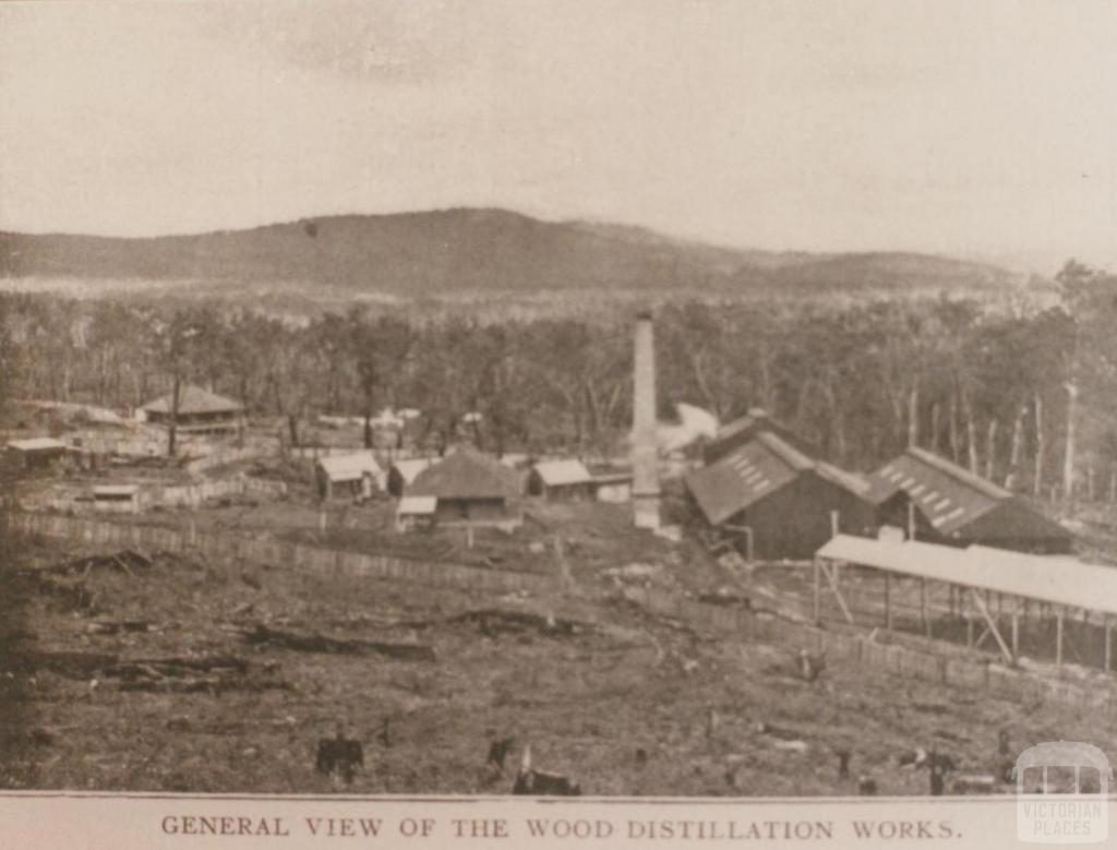 Cuming's wood distillation works, Yarra Junction, 1908