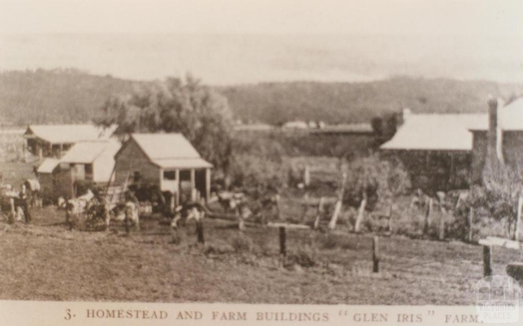 Homestead and farm buildings, Glen Iris, 1909