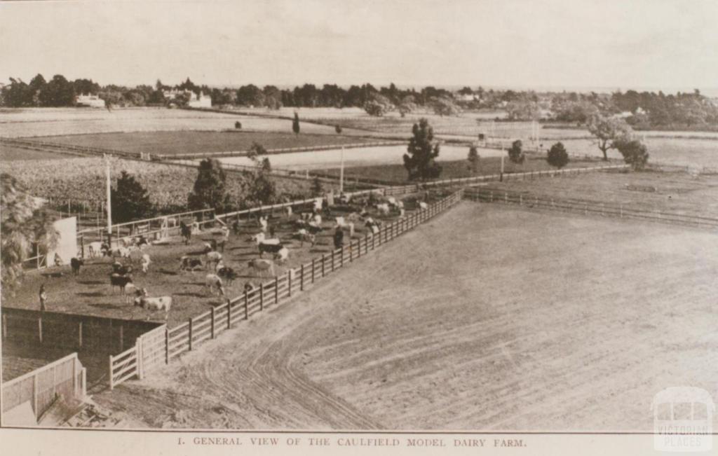 Caulfield model dairy farm, 1909