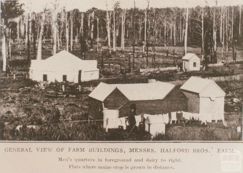 Halford Brothers' farm, Kongwak, 1910