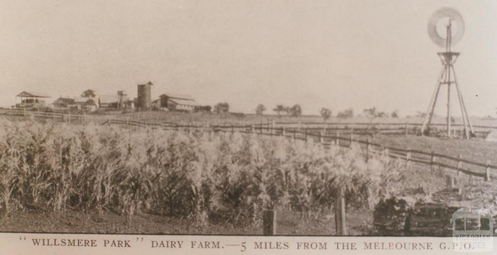 Willsmere Park dairy farm, Kew, 1910