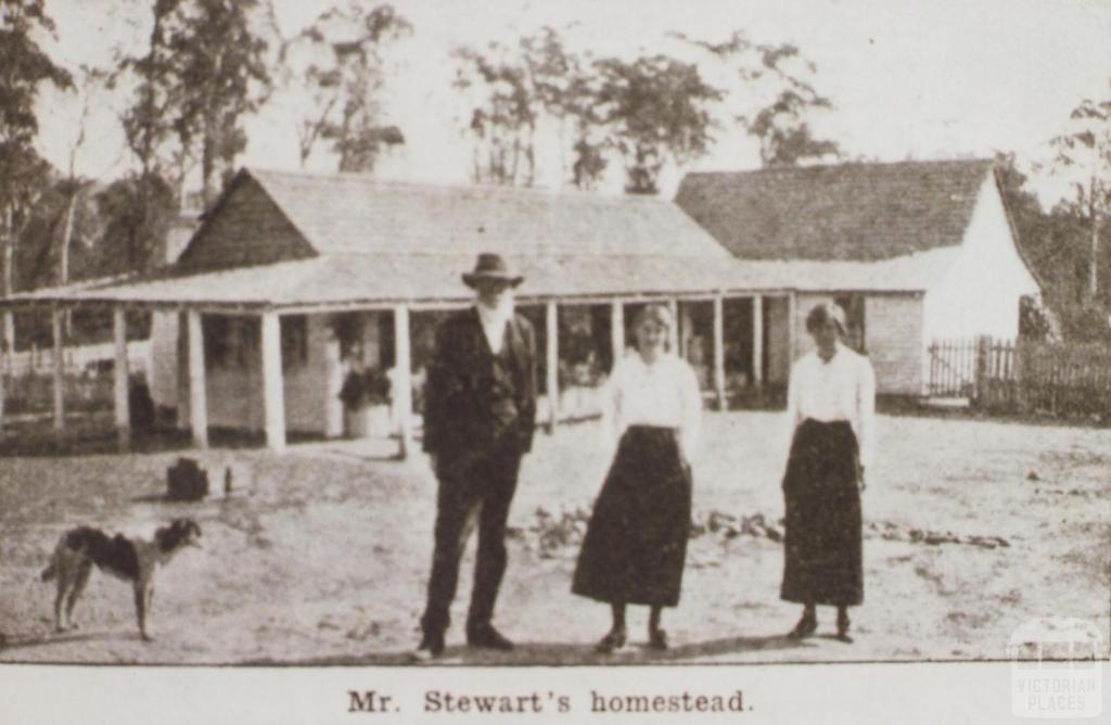 Mr Stewart's homestead 'Tolmie', Mansfield shire, 1919