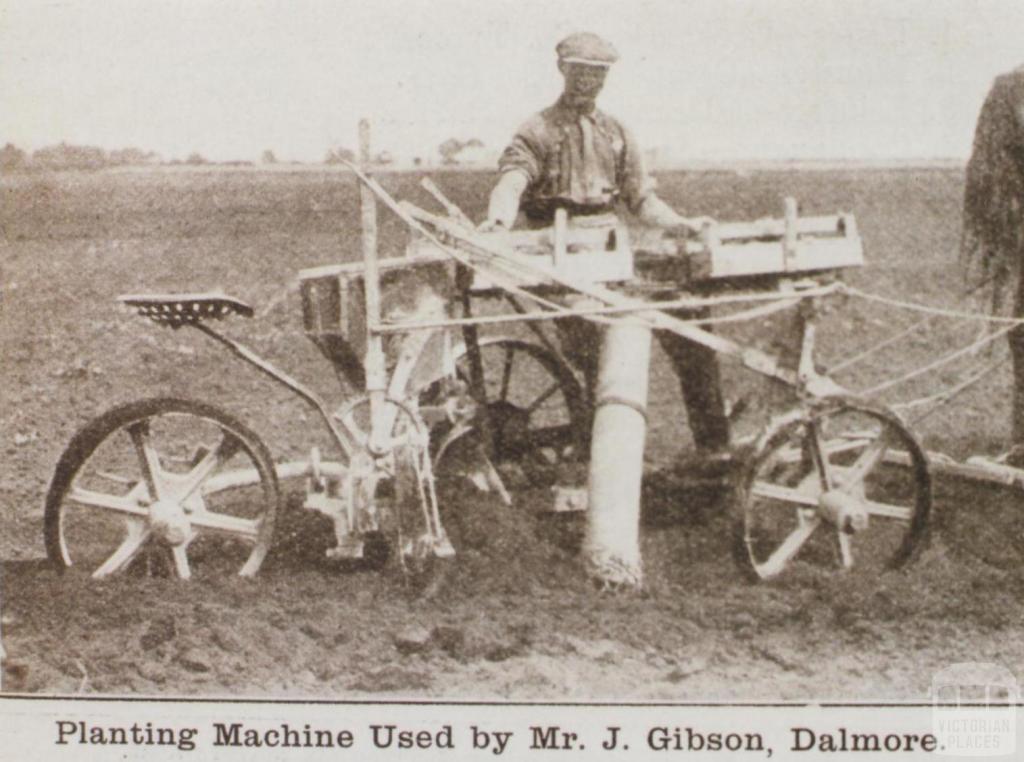 Planting machine used by Mr J Gibson, Dalmore, 1919