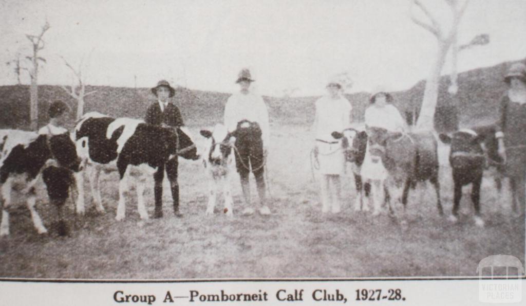 Pomborneit calf club, 1927-28