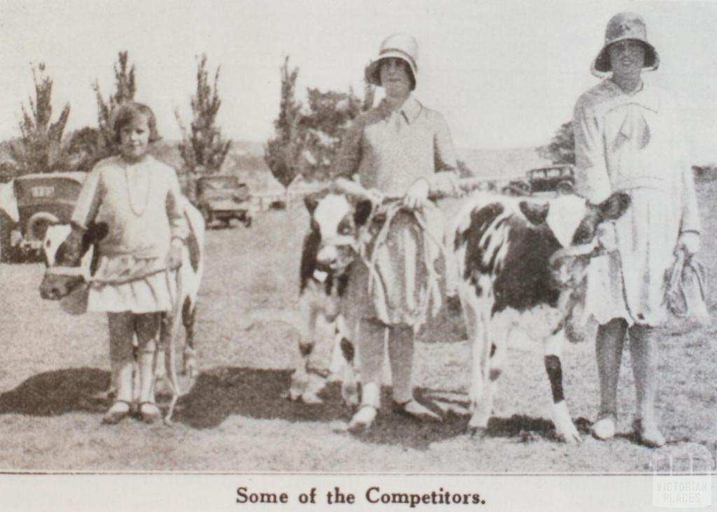 Kardella calf club, 1930