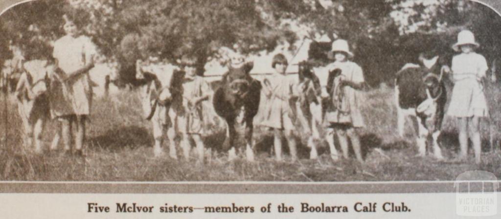 Boolarra calf club, 1931