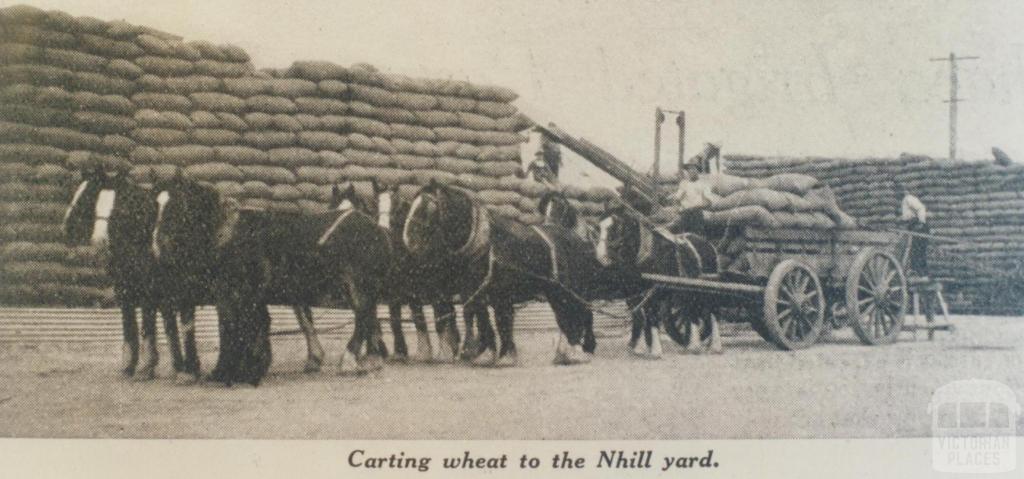 Carting wheat to Nhill yard, 1936