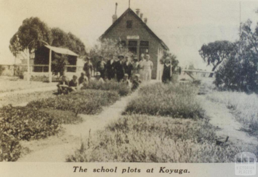 School plots, Koyuga, 1938