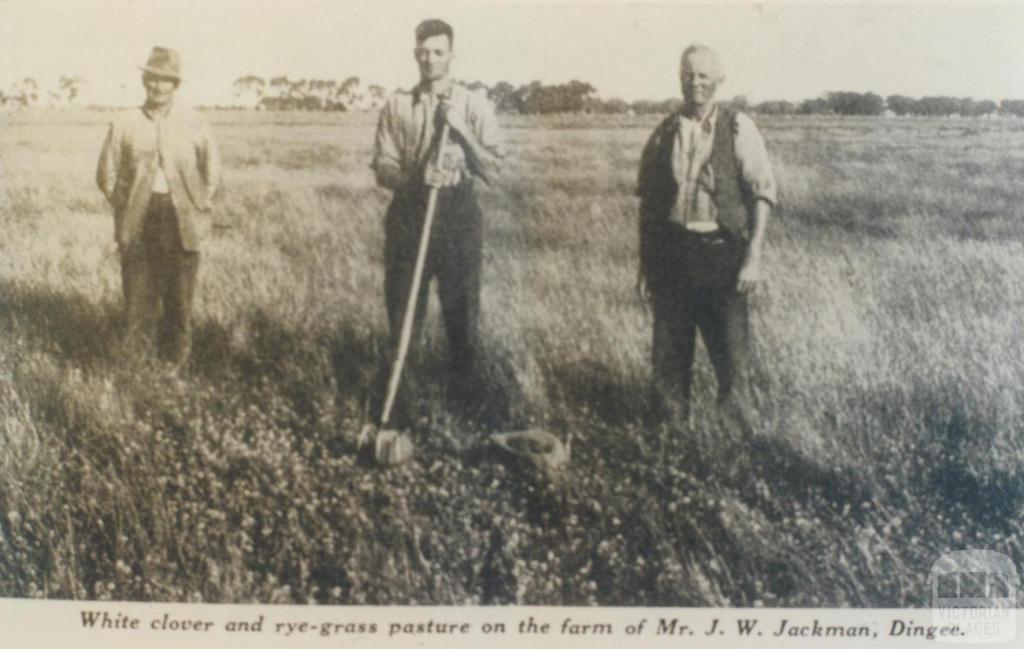 Mr J.W. Jackman's farm, Dingee, 1940