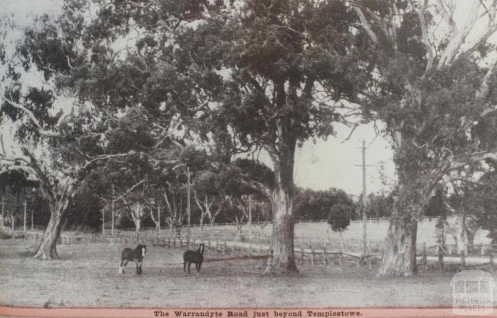 On the Warrandyte Road near Templestowe, 1942