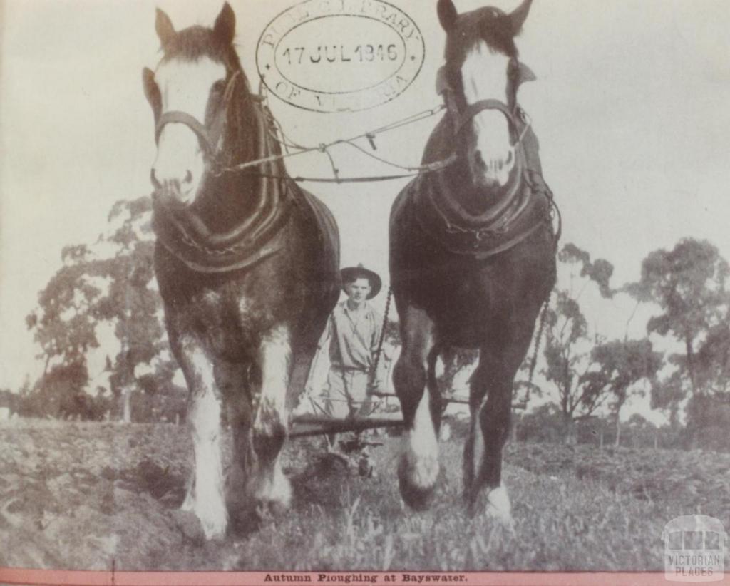 Autumn ploughing at Bayswater, 1946