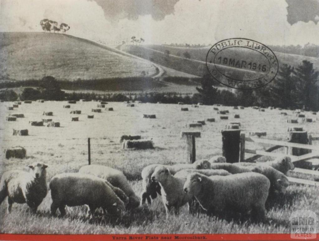 Yarra River flats near Mooroolbark, 1946