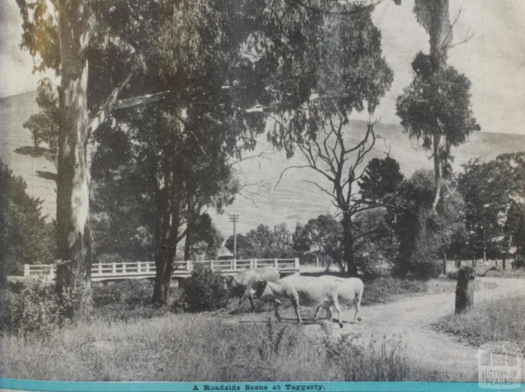 Roadside scene at Taggerty, 1946