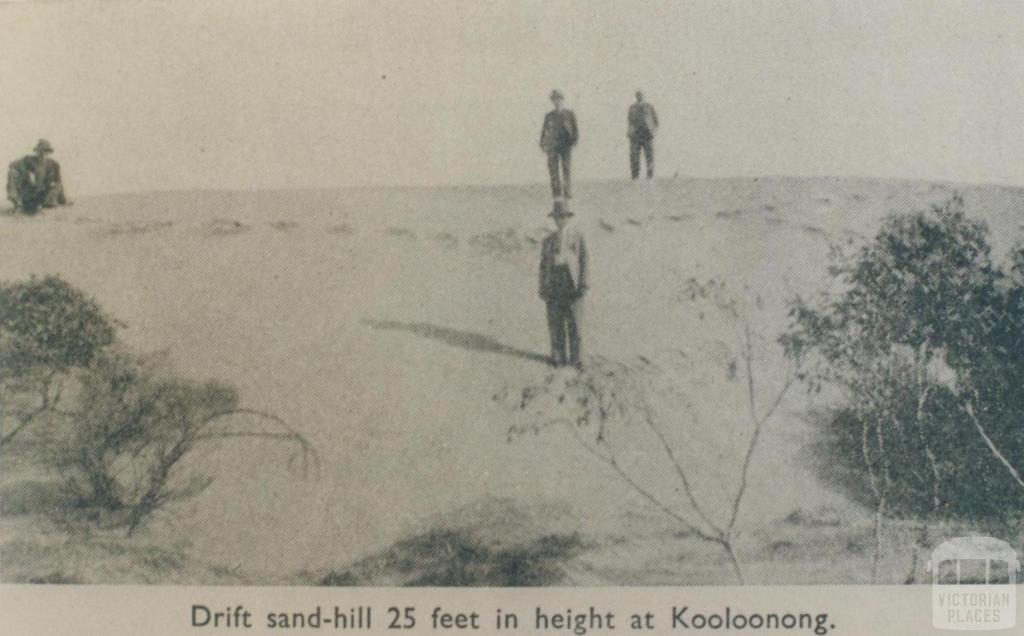 Sandhill at Kooloonong, Swan Hill Shire, 1944