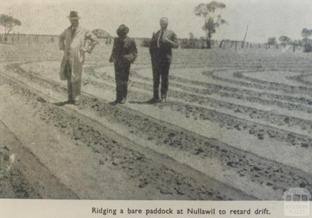 Ridging a bare paddock at Nullawil, 1945