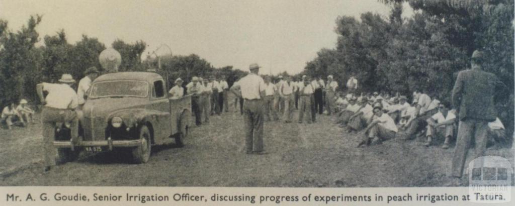 Fruit growers' field day, Tatura Research Station, 1952