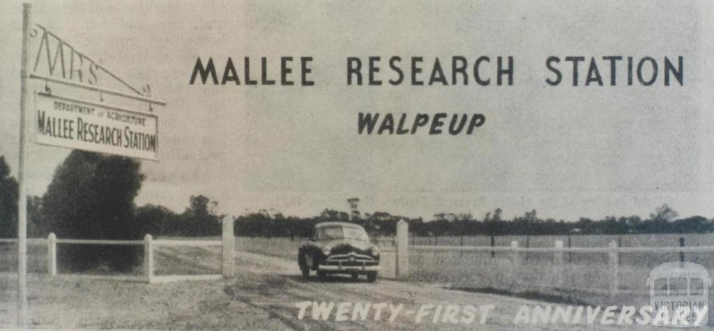 Mallee Research Station, Walpeup, 1953