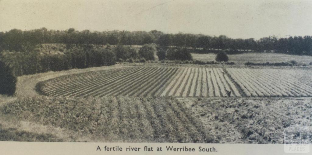 Fertile river flat, Werribee South, 1955