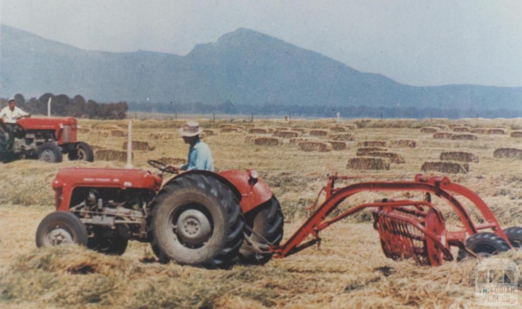 Haymaking, Willaura, 1965