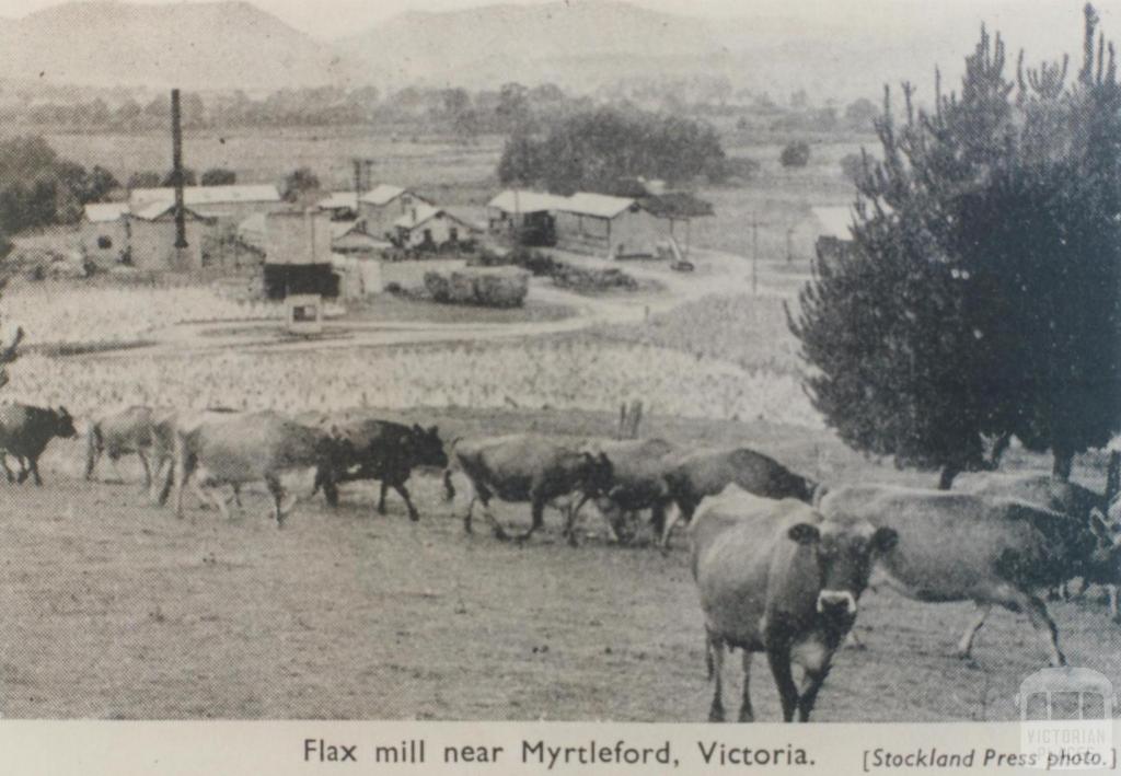 Flax mill near Myrtleford, 1951