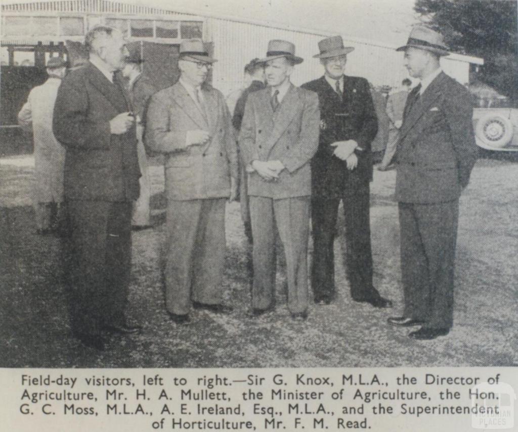 Scoresby Horticultural Research Station field day, 1951