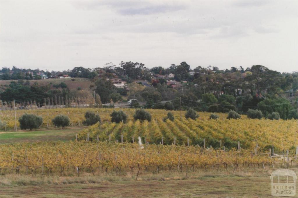 Goonawarra vineyard, looking south, Sunbury, 2010