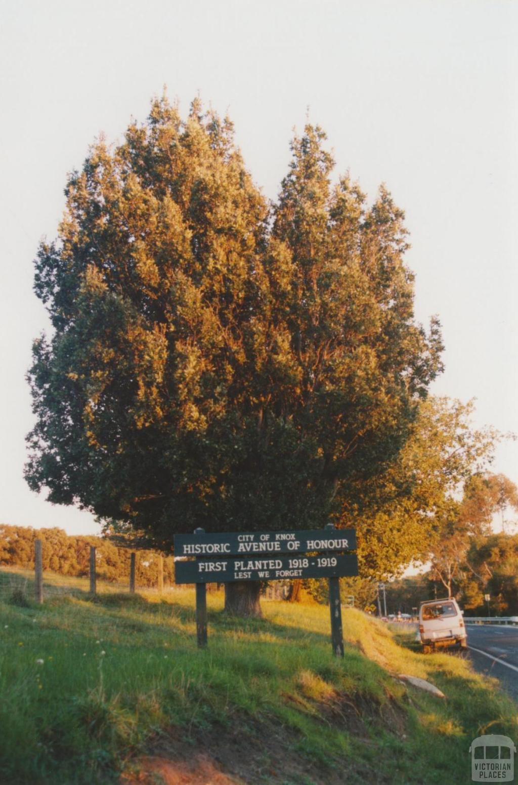 City of Knox Historic Avenue of Honour, 2010