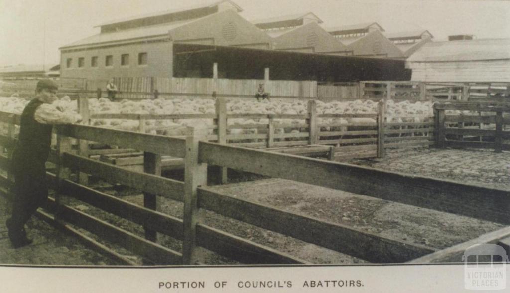 Council abattoirs, Richmond, 1912