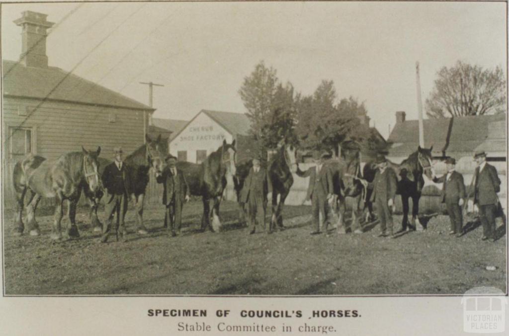 Council's horses with Stable Committee, Richmond, 1916