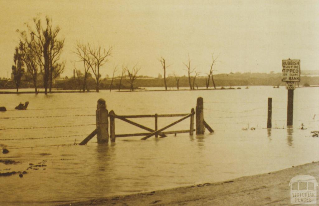 Como Park in South Yarra flooded, October 1923