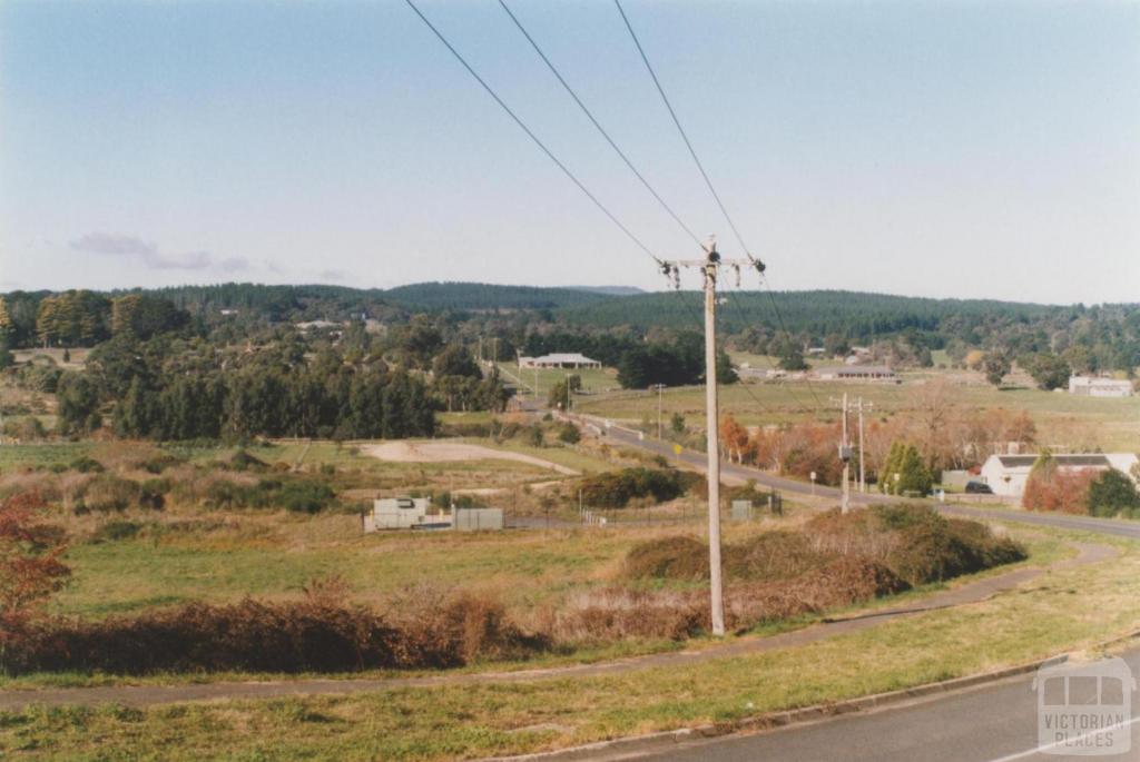 Magpie: down Docwra Street across Yarrowee Creek, 2010