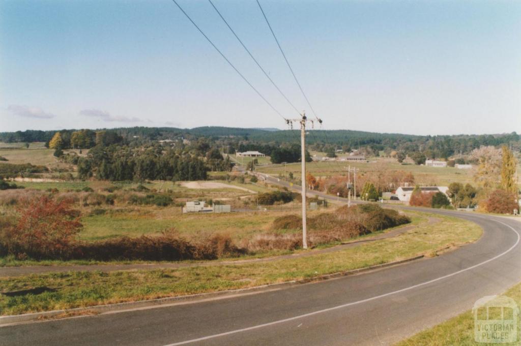 Magpie: down Docwra Street across Yarrowee Creek, 2010