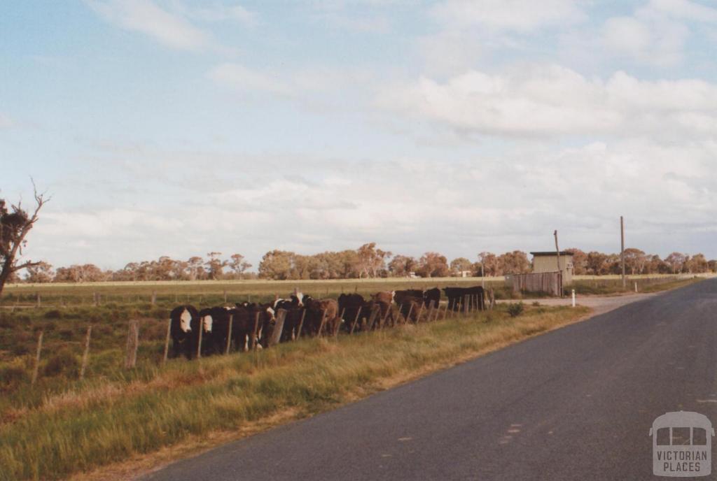 Cattle and Telephone Exchange, Bamawn Extension, 2010